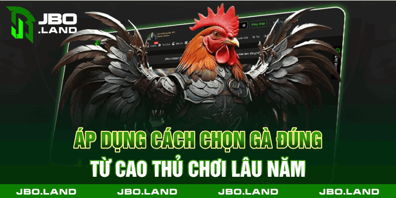 Áp dụng cách chọn gà đúng từ cao thủ chơi lâu năm