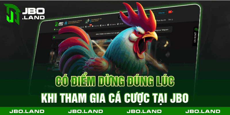 Có điểm dừng đúng lúc khi tham gia cá cược tại jbo