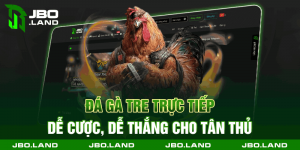 Đá Gà Tre Trực Tiếp - Dễ Cược, Dễ Thắng Cho Tân Thủ