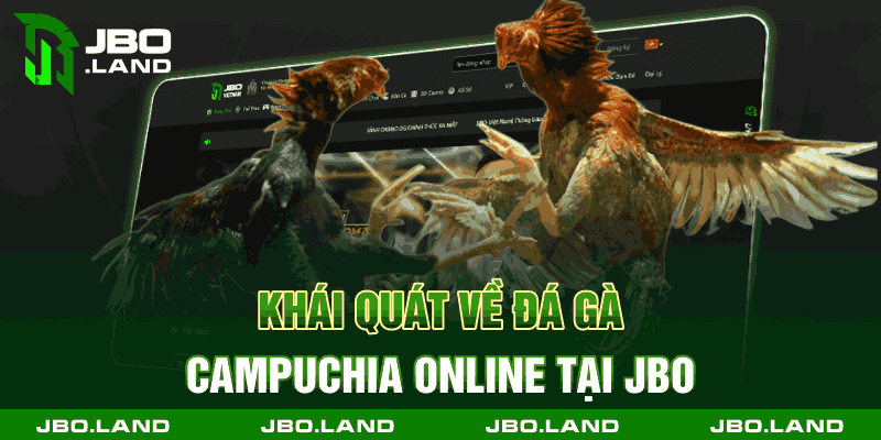 Khái quát về đá gà Campuchia online tại jbo