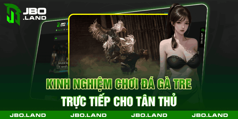 Kinh nghiệm chơi đá gà tre trực tiếp cho tân thủ