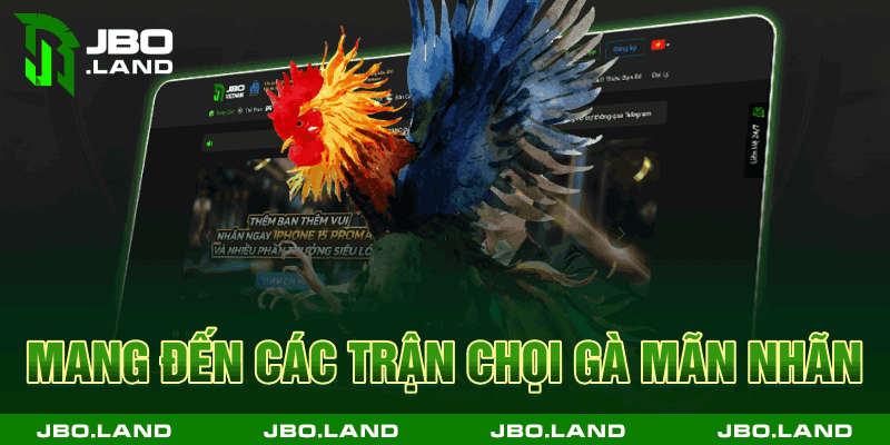 Mang đến các trận chọi gà mãn nhãn