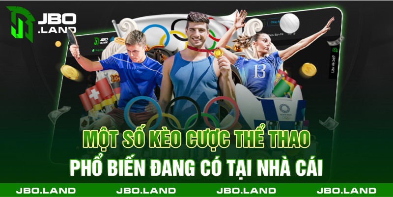 Một số đối tác hợp tác phát hành tại thể thao jbo