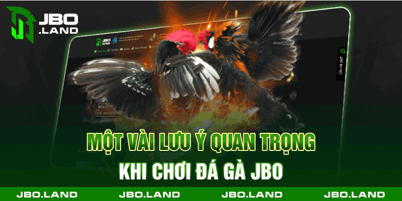 Một vài lưu ý quan trọng khi chơi đá gà jbo