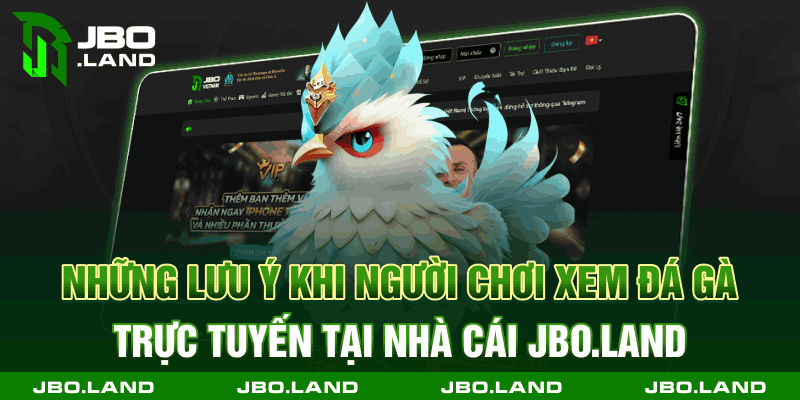 Những lưu ý khi người chơi xem đá gà trực tuyến tại nhà cái jbo.land