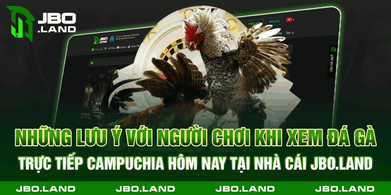 Những lưu ý với người chơi khi xem đá gà trực tiếp Campuchia hôm nay tại nhà cái jbo.land