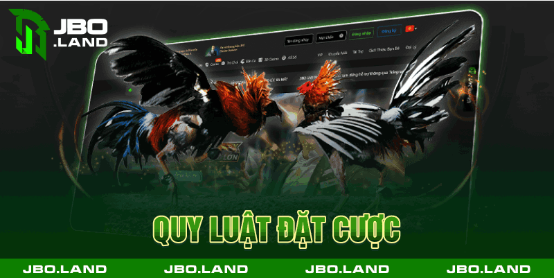 Quy luật đặt cược