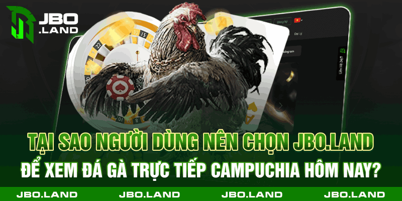 Tại sao người dùng nên chọn jbo.land để xem đá gà trực tiếp Campuchia hôm nay?