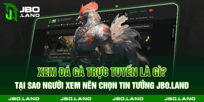 Xem đá gà trực tuyến là gì? Tại sao người xem nên chọn tin tưởng jbo.land